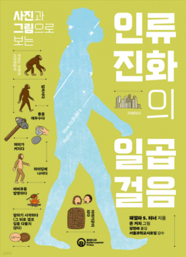 Seven steps in human evolution seen through photos and drawings