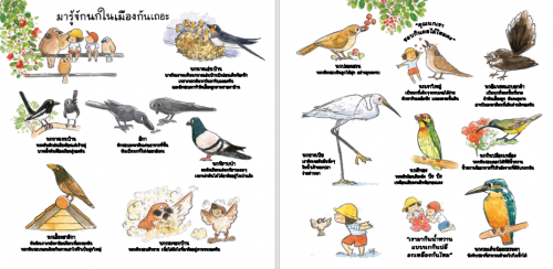 Let's Learn about Birds